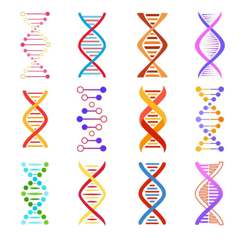 adn hélice iconos, genético medicina vector señales conjunto