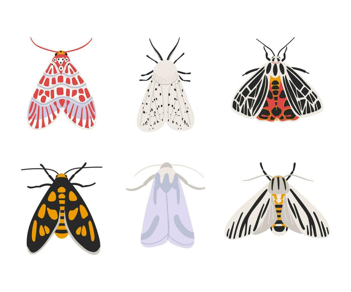 mano dibujado vistoso polillas vector colocar. colección con hermosa mariposas