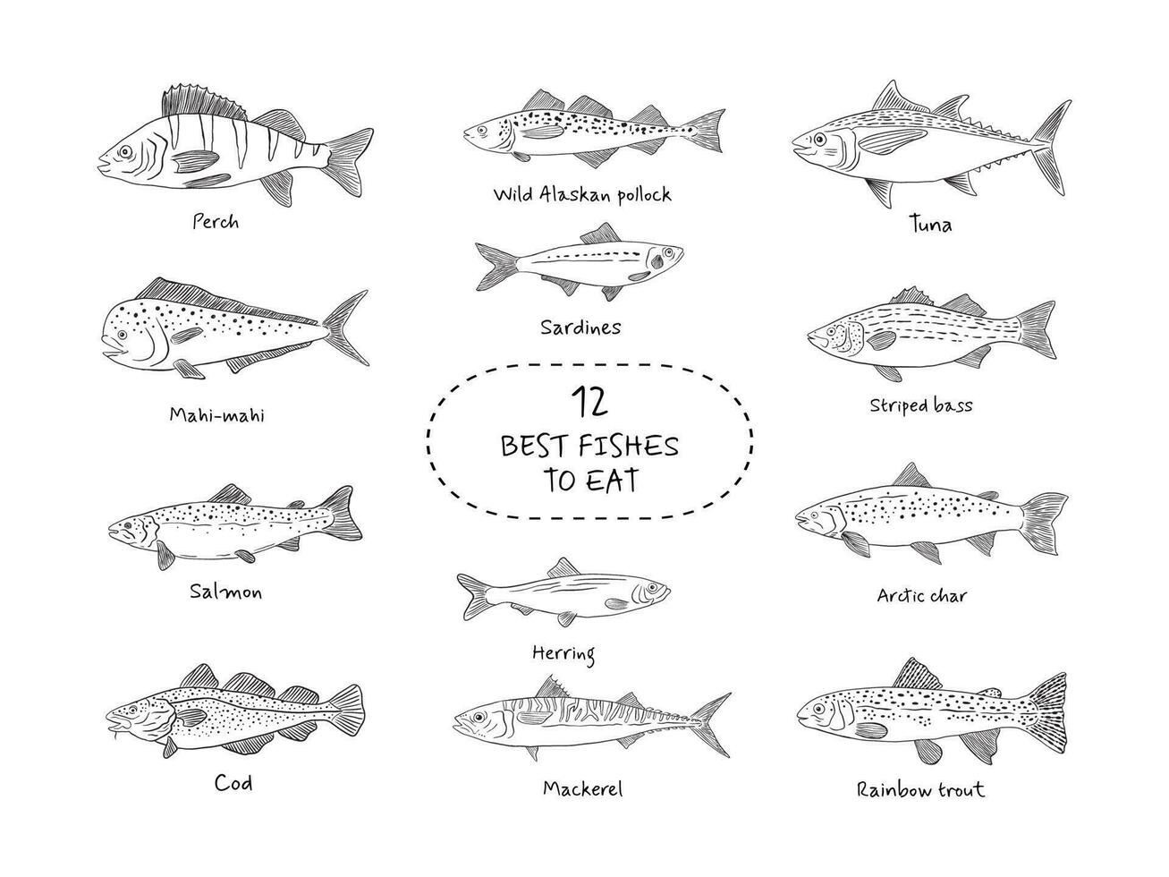 Hand drawn fish icon set in sketch style. Simple vector isolated illustration on white background