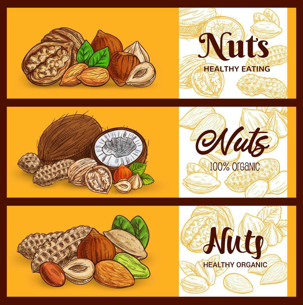 Nuts and cereals banner sketch cashew and almonds vector