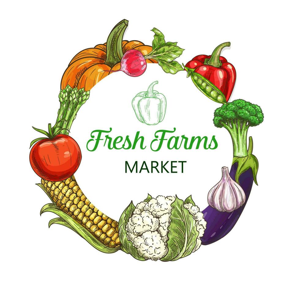 Farm vegetables sketch frame, food market harvest vector