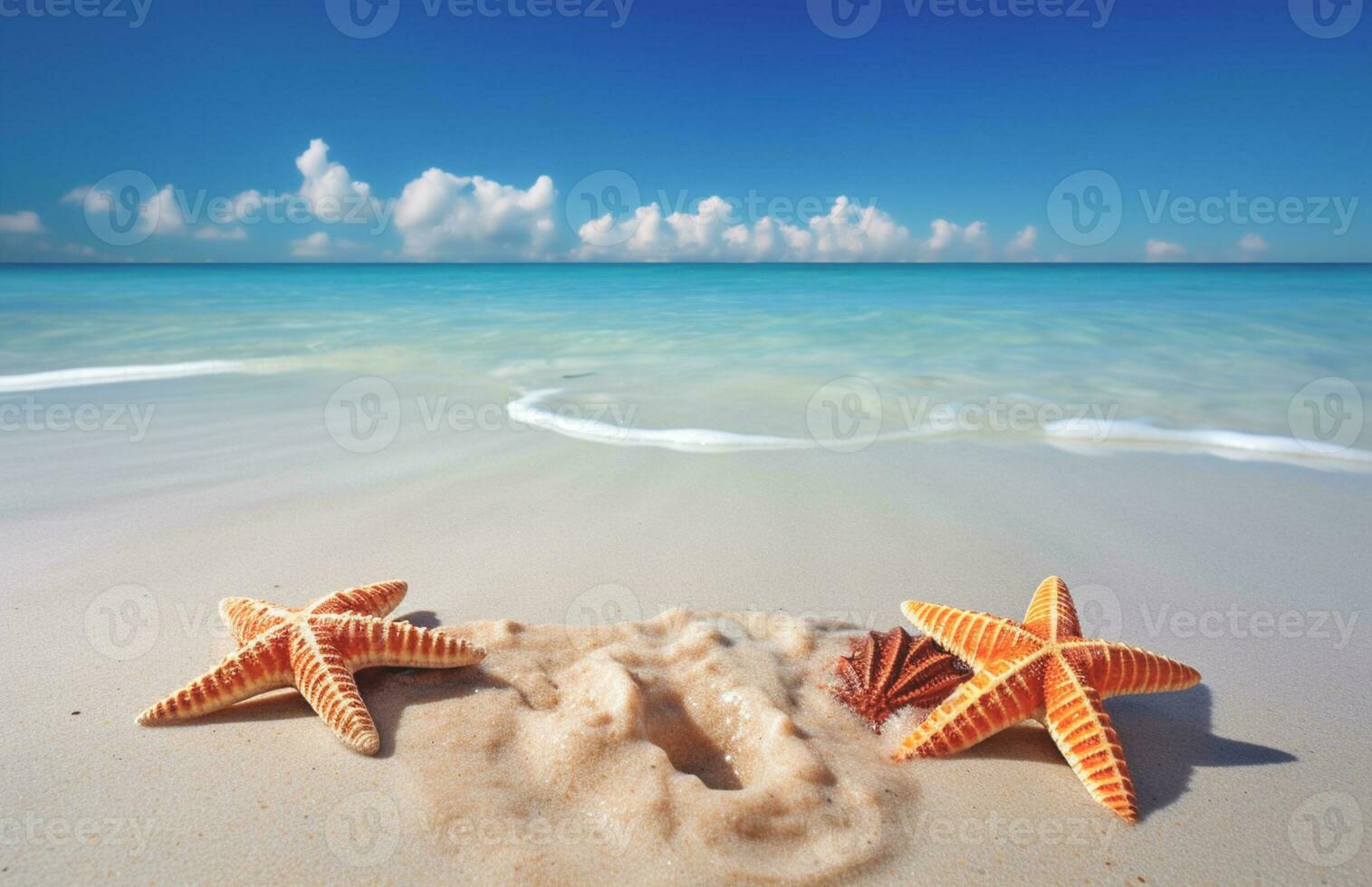 conchas marinas y estrella de mar en el hermosa tropical playa y mar con azul cielo antecedentes. verano vacaciones concepto foto