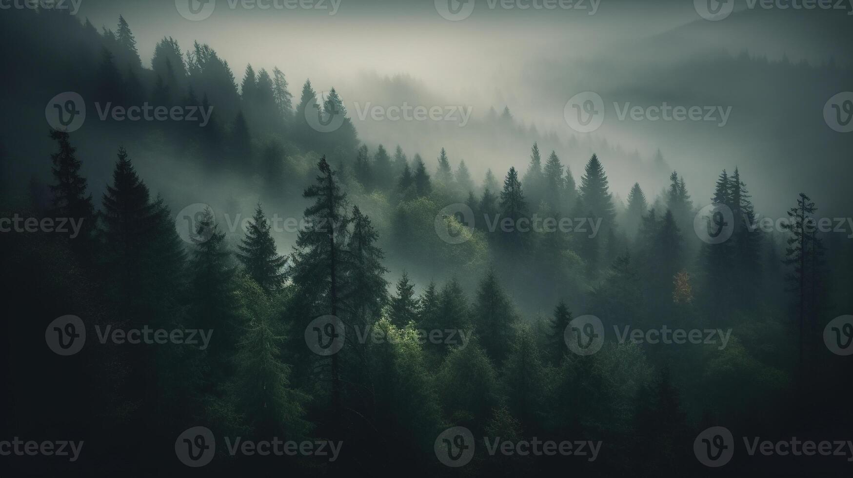 , Misty fir forest beautiful landscape in hipster vintage retro style, foggy mountains and trees photo