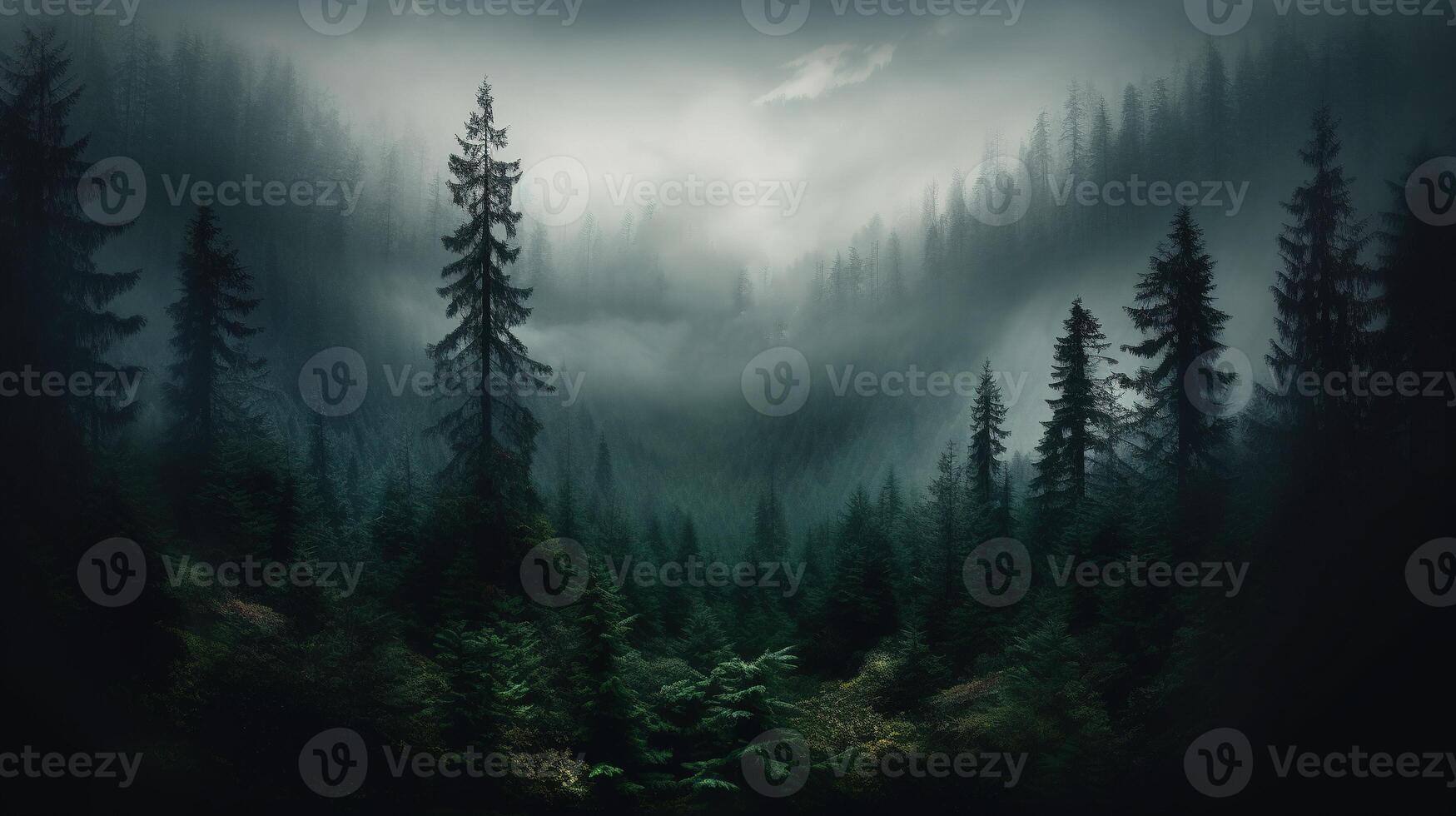 , Misty fir forest beautiful landscape in hipster vintage retro style, foggy mountains and trees photo