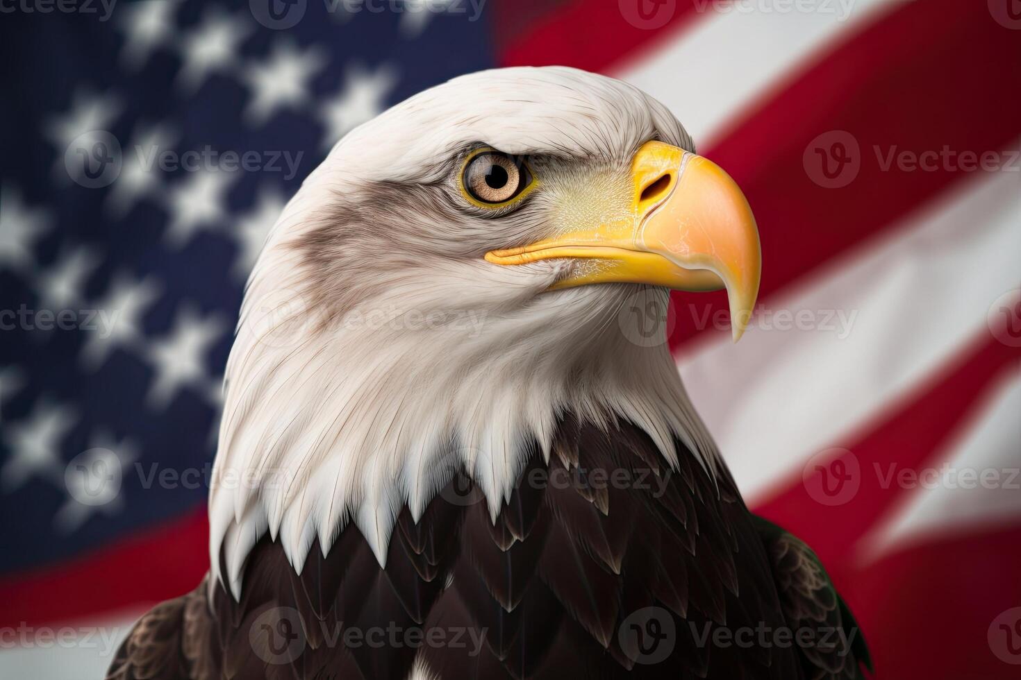 Bald Eagle with USA Flag in the background. photo