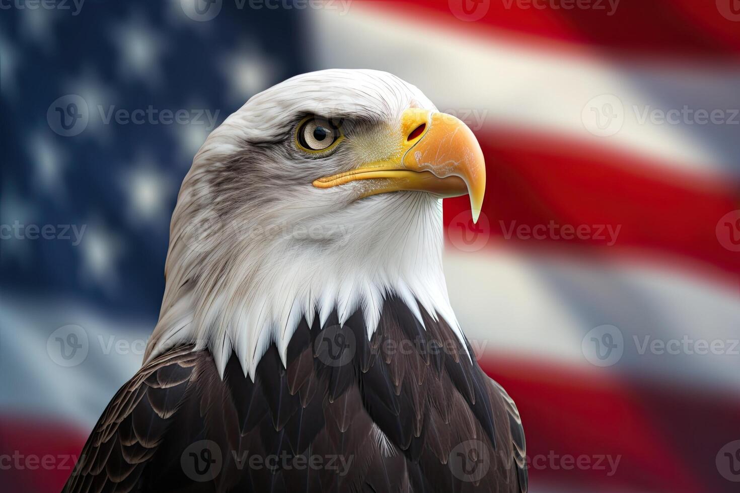 Bald Eagle with USA Flag in the background. photo