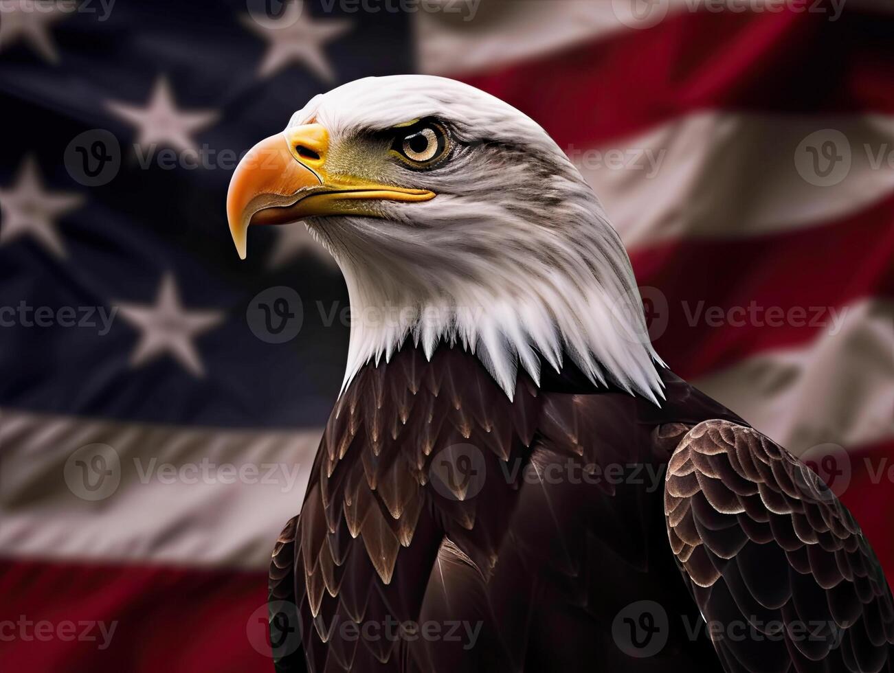 Bald Eagle with USA Flag in the background. photo