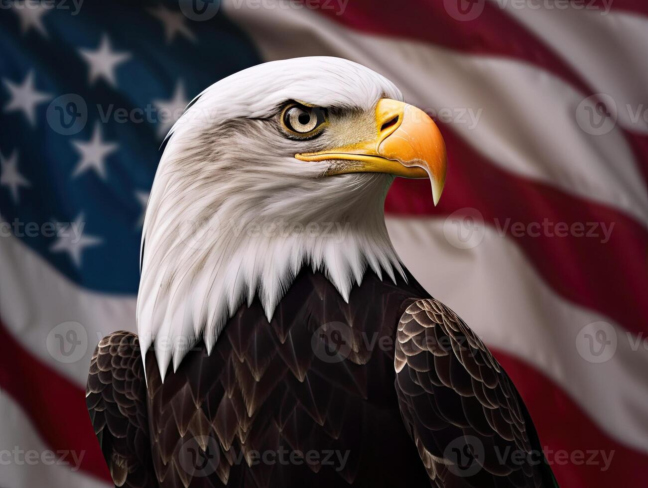 Bald Eagle with USA Flag in the background. photo