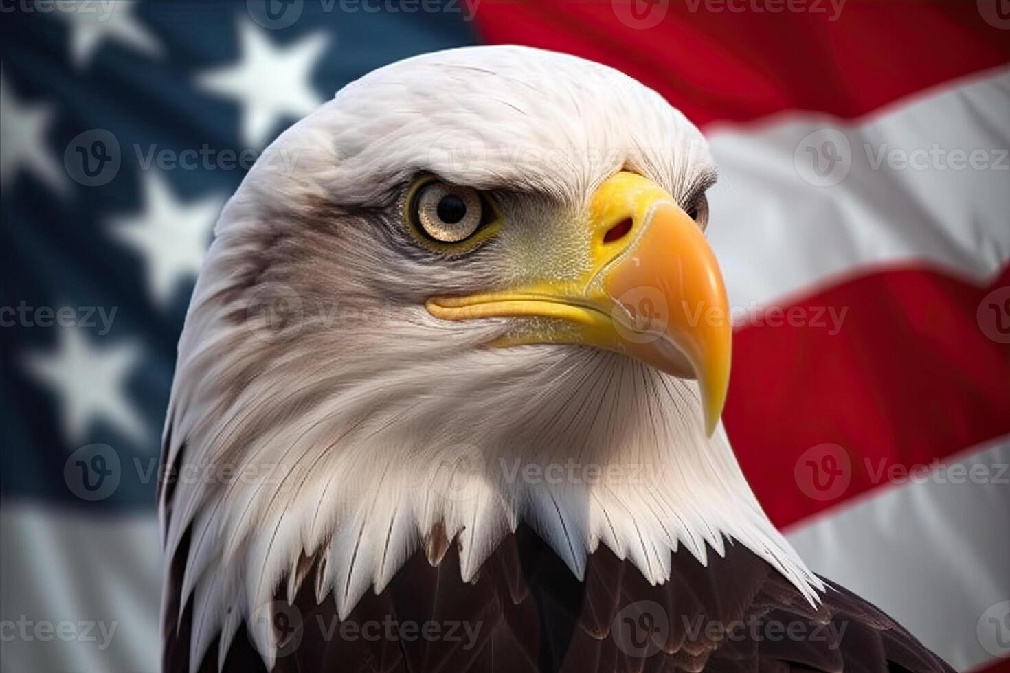 Bald Eagle with USA Flag in the background. photo