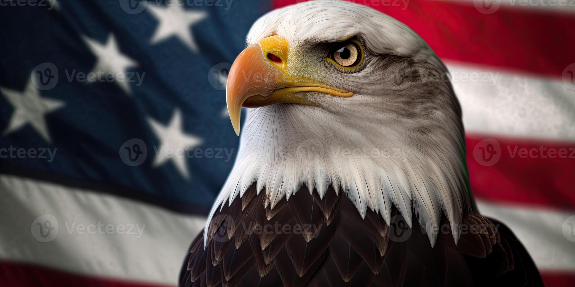 Bald Eagle with USA Flag in the background. photo