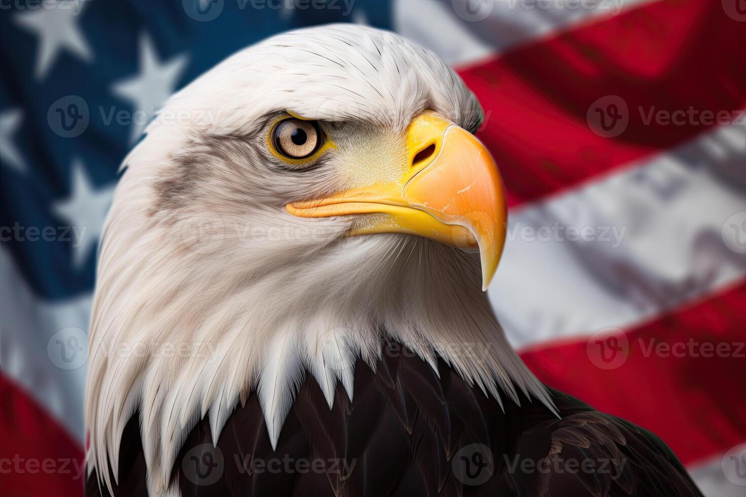 Bald Eagle with USA Flag in the background. photo