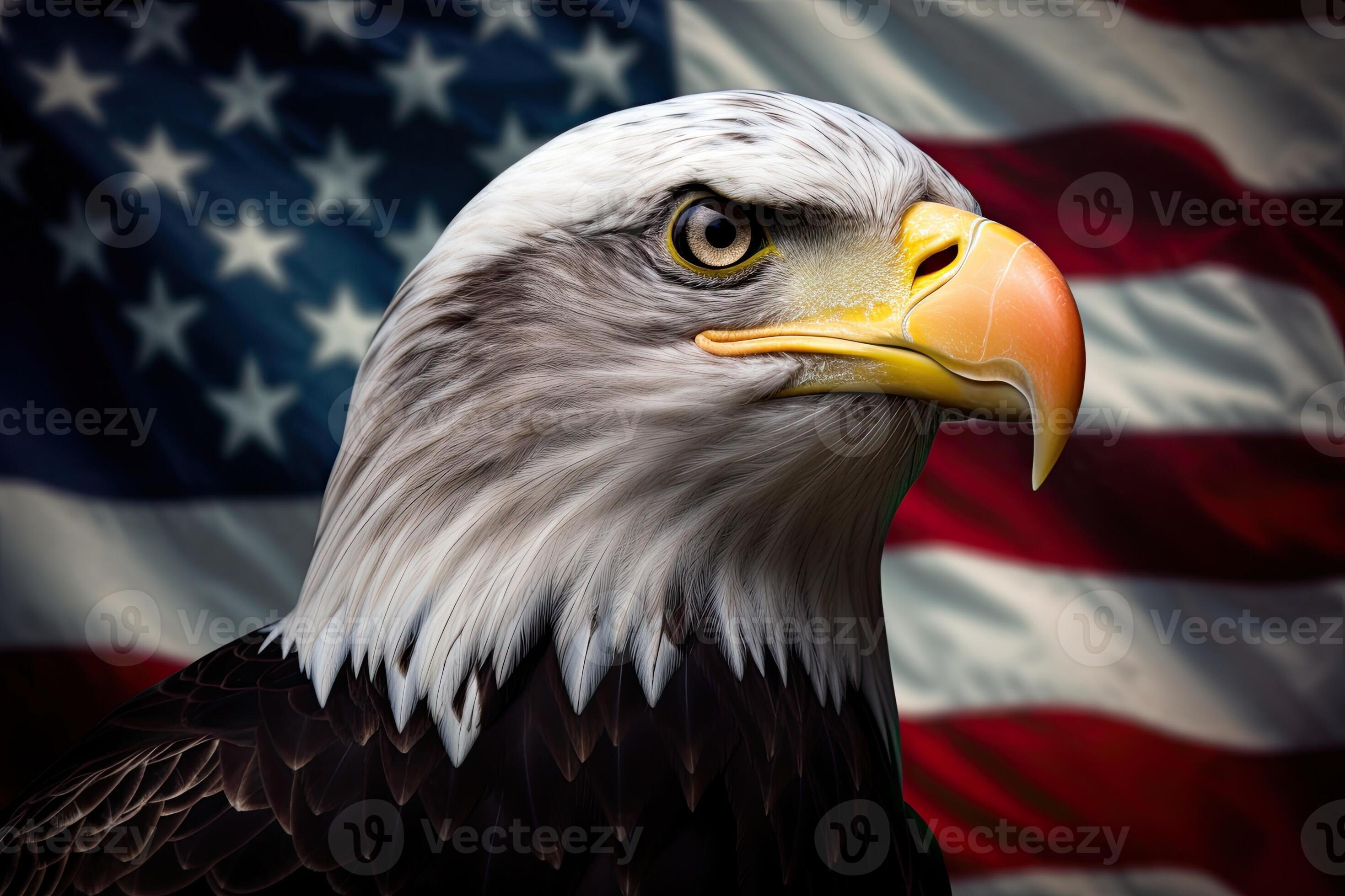 Bald Eagle with USA Flag in the background. AI Generative 23489161