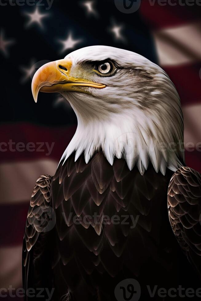 Bald Eagle with USA Flag in the background. photo