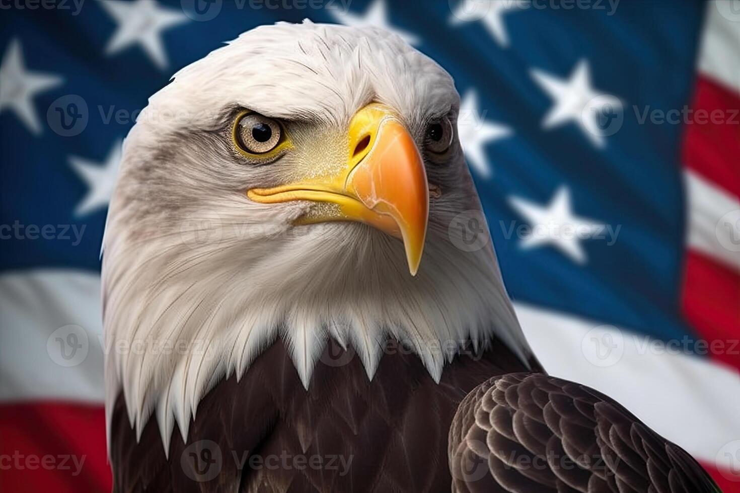 Bald Eagle with USA Flag in the background. photo