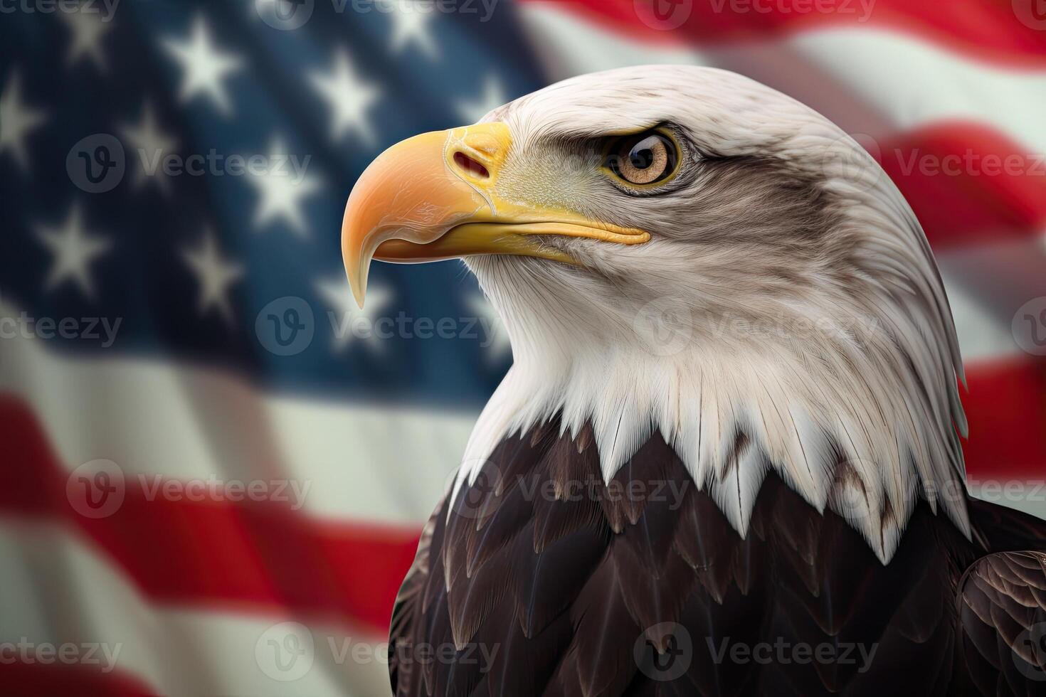 Bald Eagle with USA Flag in the background. photo