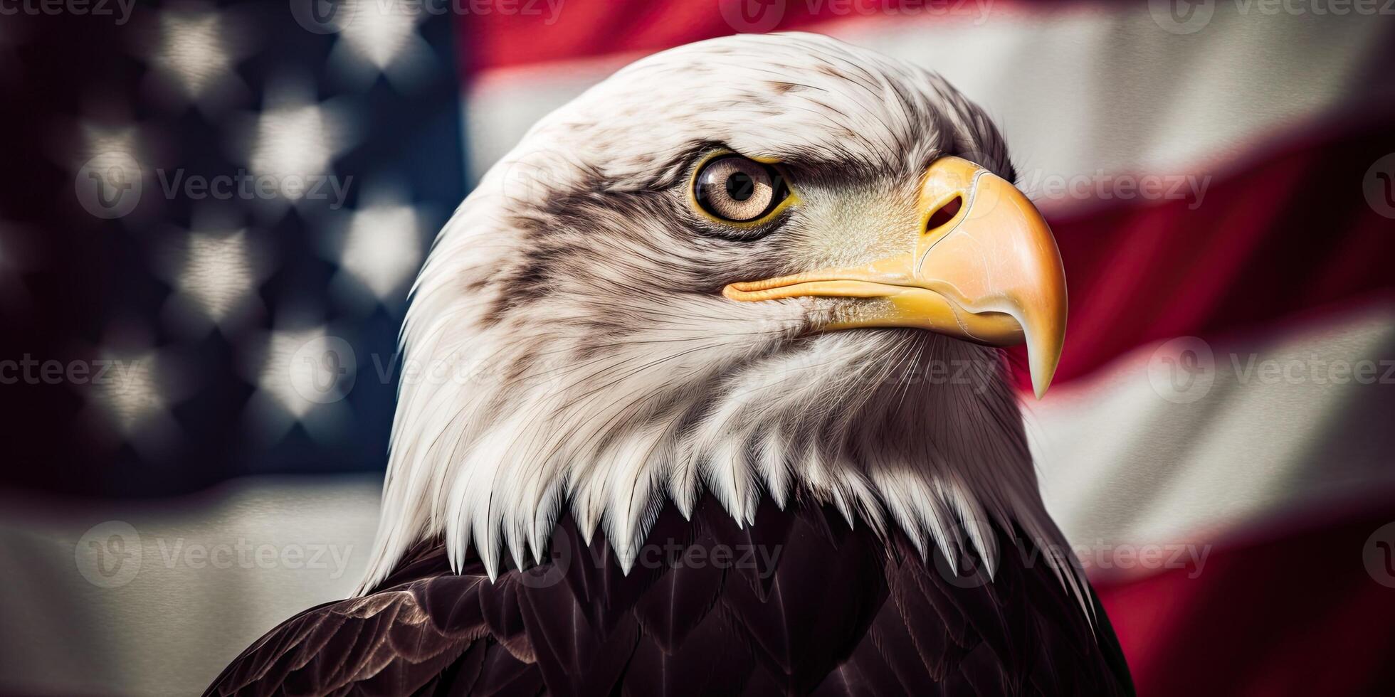 Bald Eagle with USA Flag in the background. photo