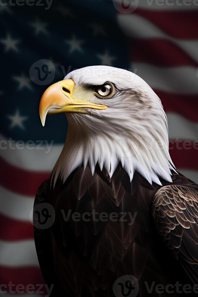 Bald Eagle with USA Flag in the background. photo