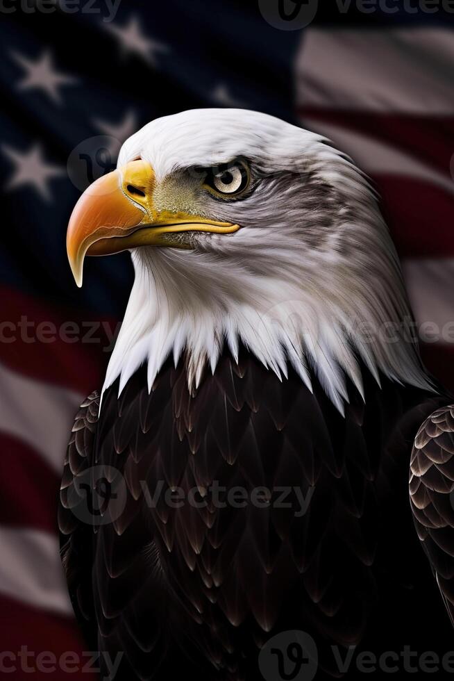 Bald Eagle with USA Flag in the background. photo