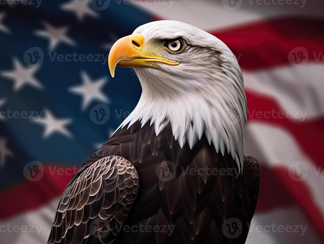 Bald Eagle with USA Flag in the background. photo