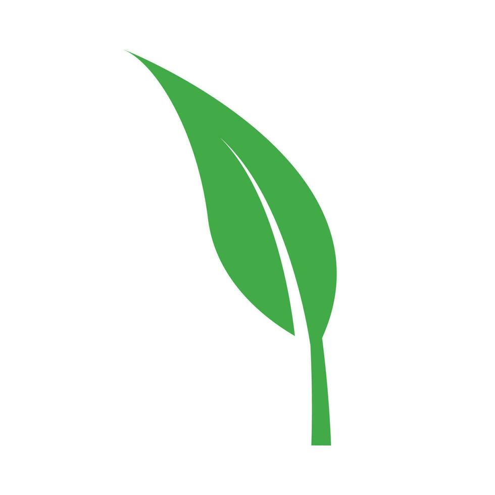 sprouting leaf new plant icon logo vector