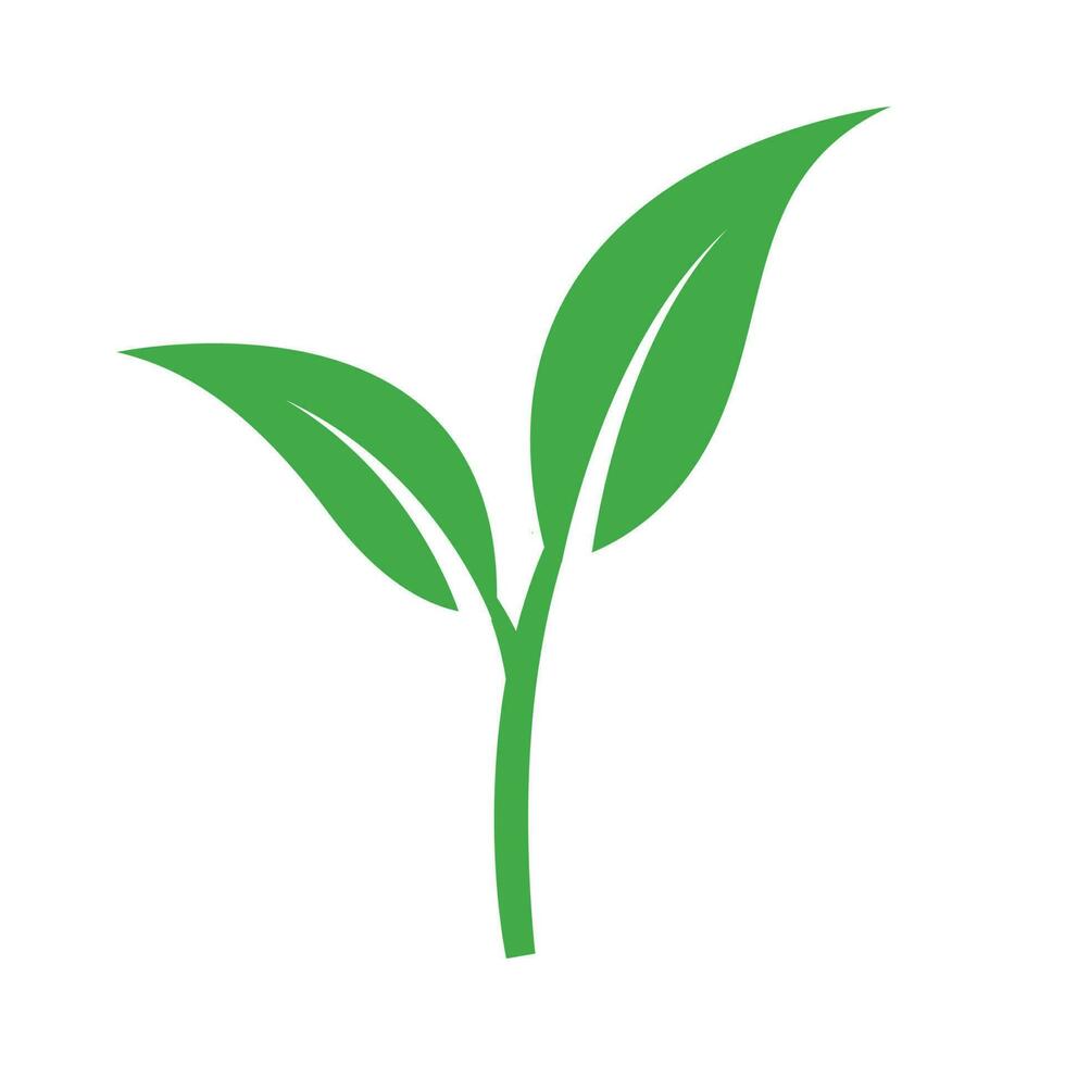 sprouting leaf new plant icon logo vector