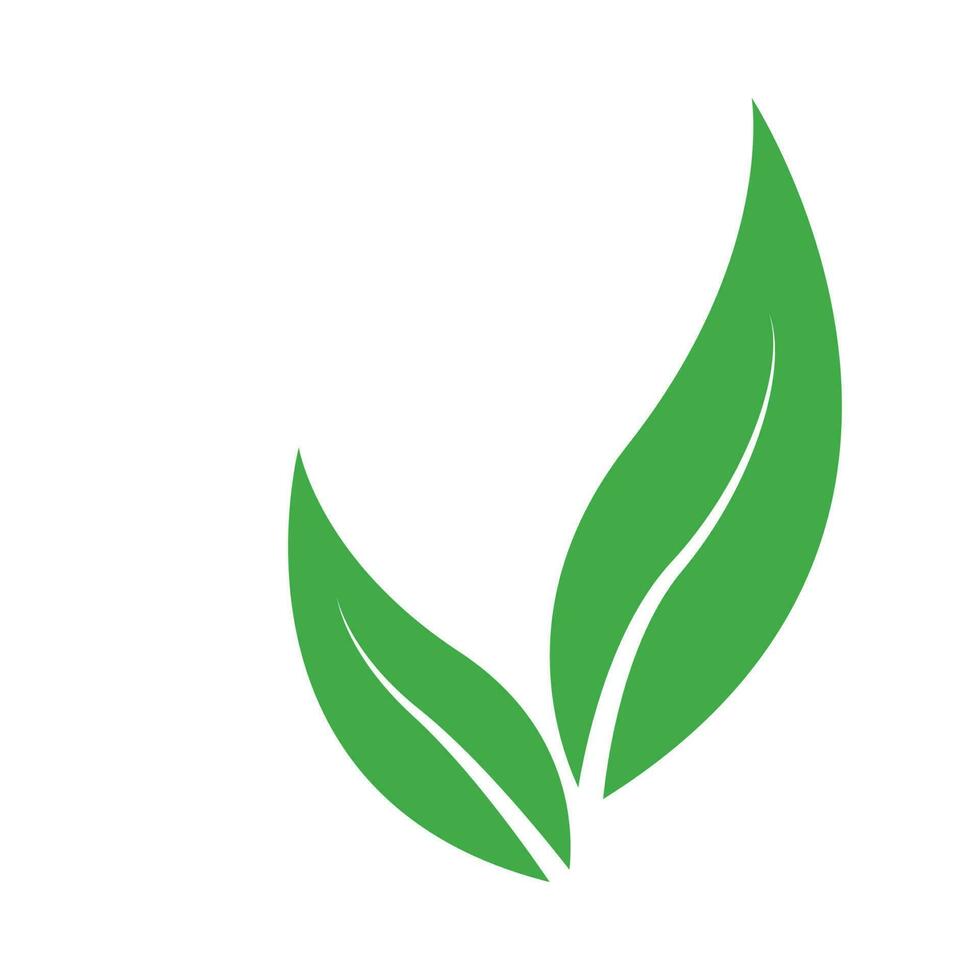 sprouting leaf new plant icon logo vector