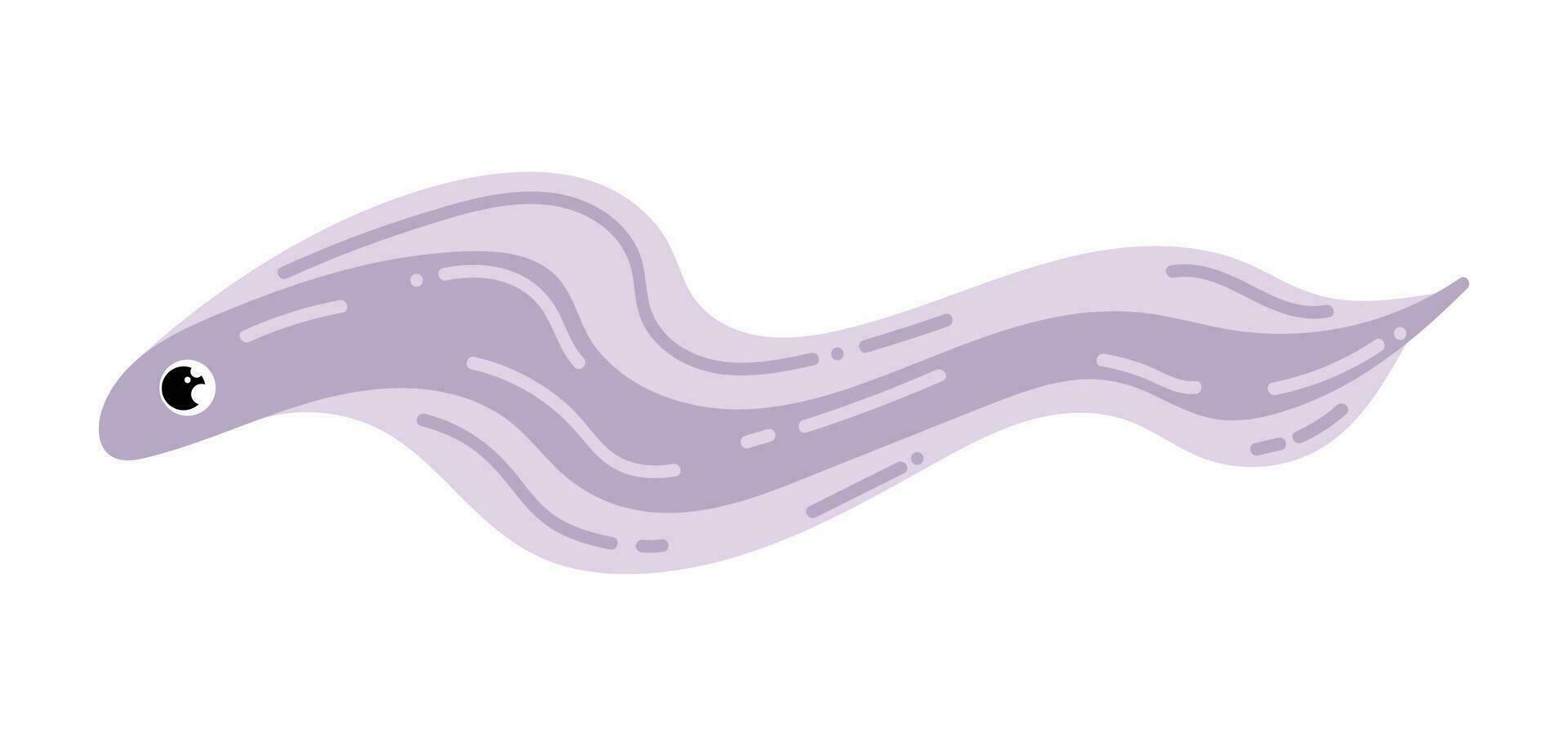 Eel fish. Vector illustration isolated on white