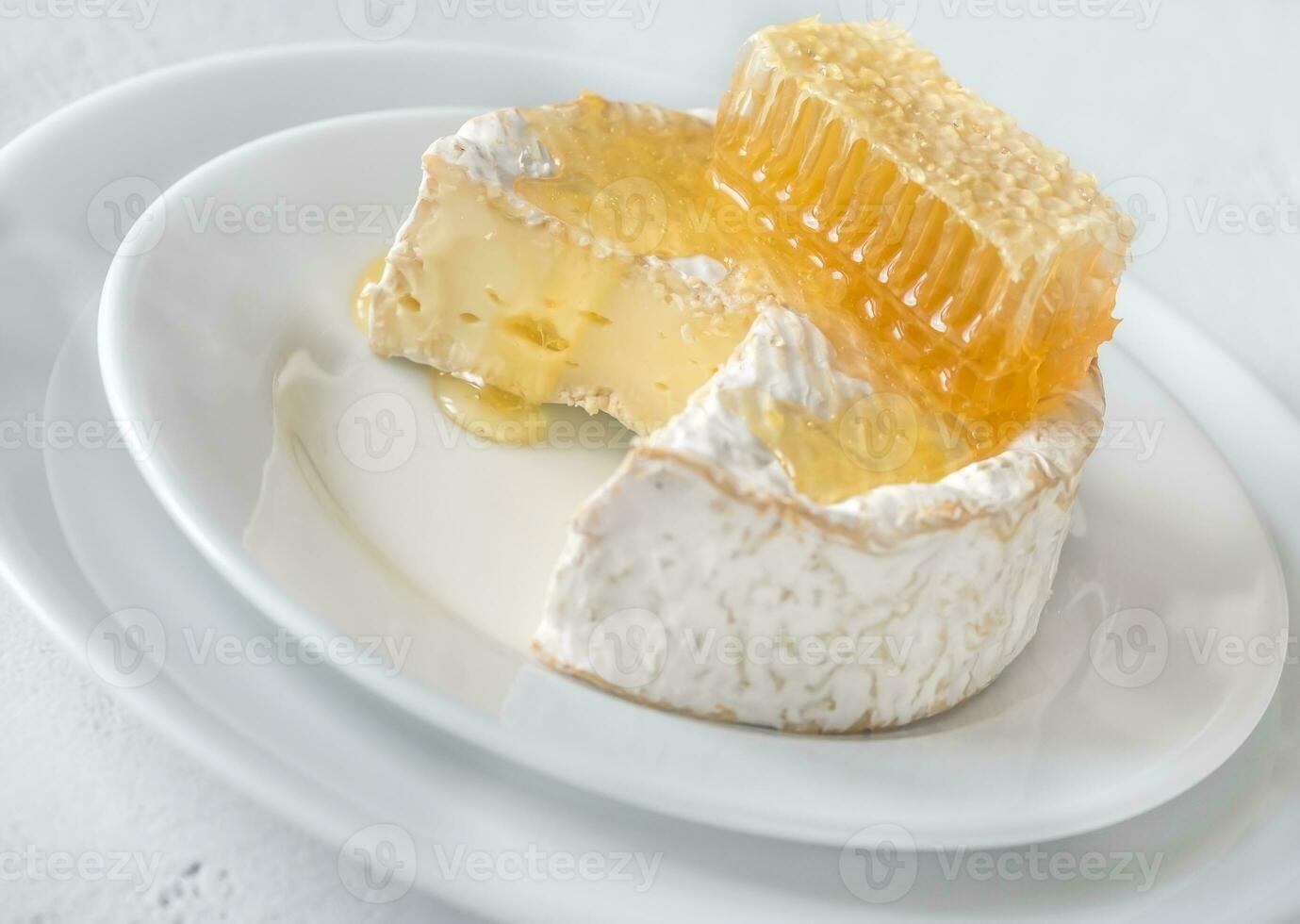 queso Camembert queso con panales foto