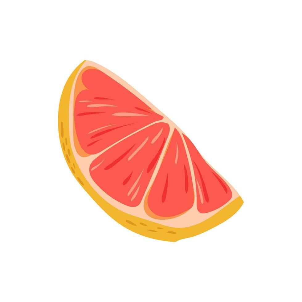 Vector ilustration element of grapefruit in cartoon style. Isolated on a white background.