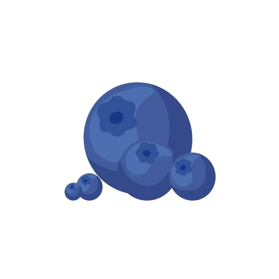 Vector ilustration element of blueberry