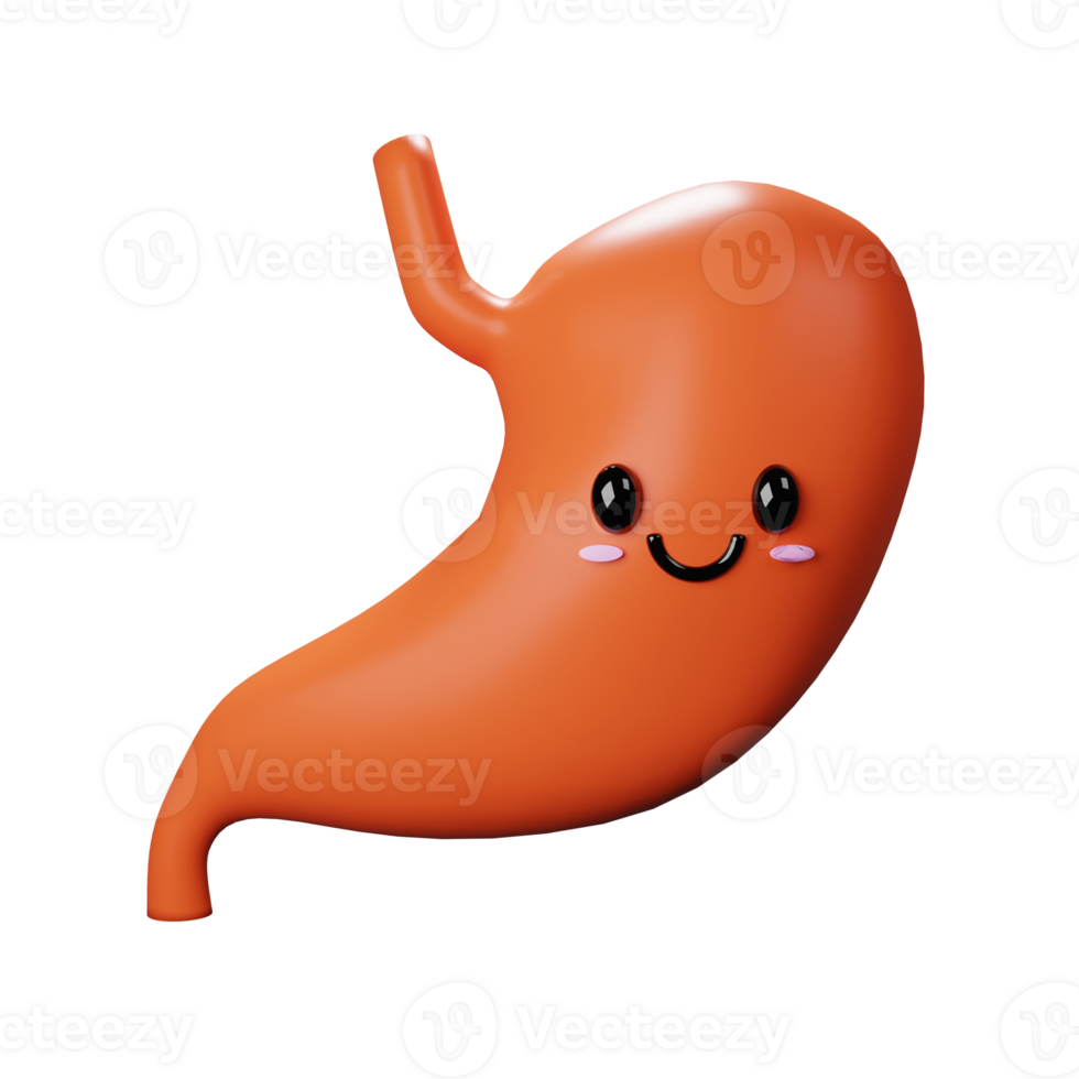 3D Stomach Icon png