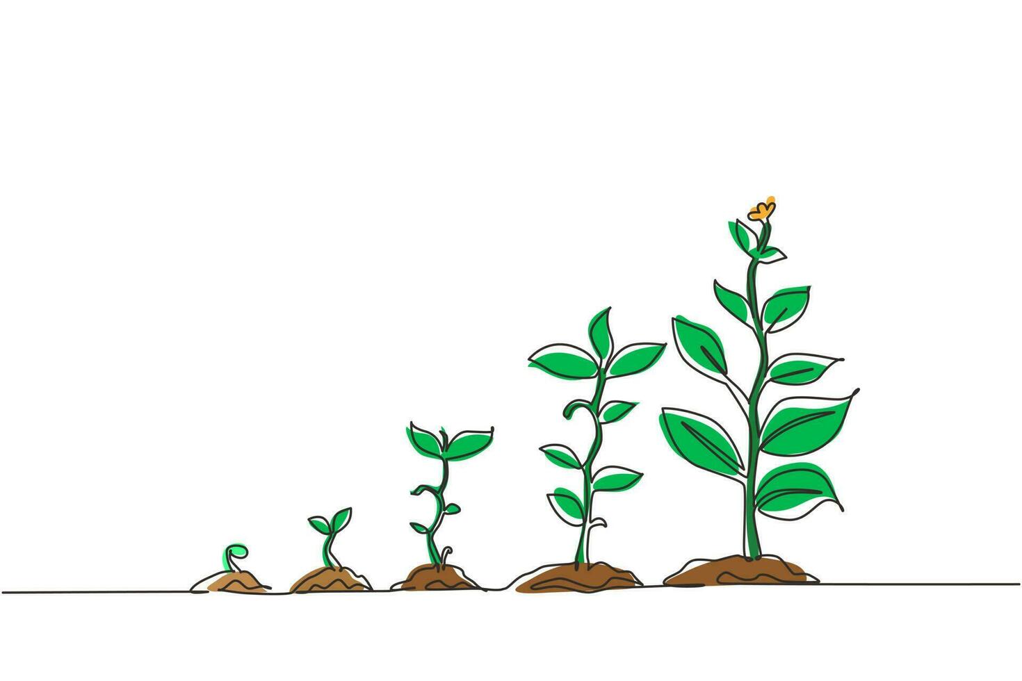 Seed Sprouting Illustration