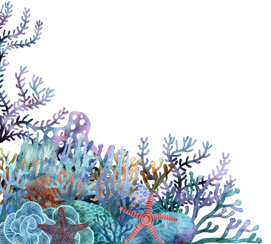 under ocean life element with watercolor painted , Coral reef png