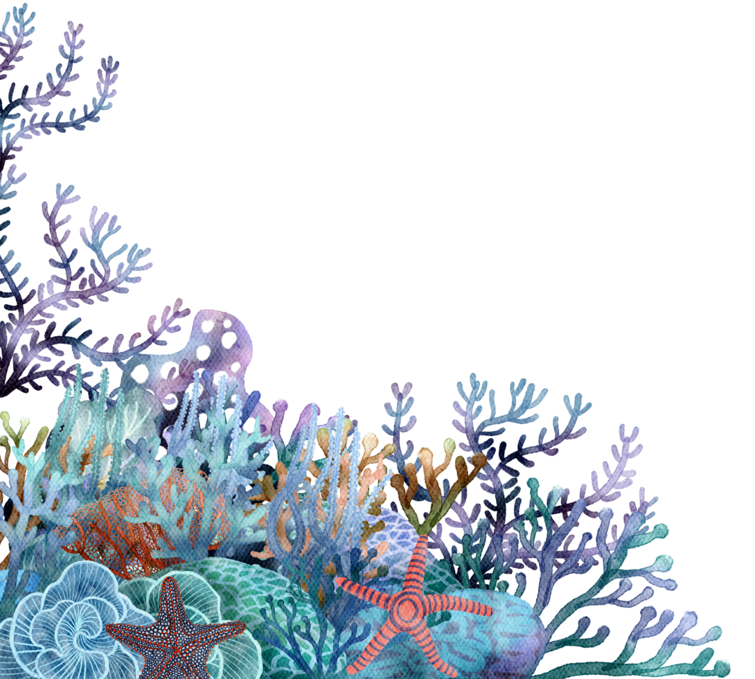 debajo Oceano vida elemento con acuarela pintado , coral arrecife png