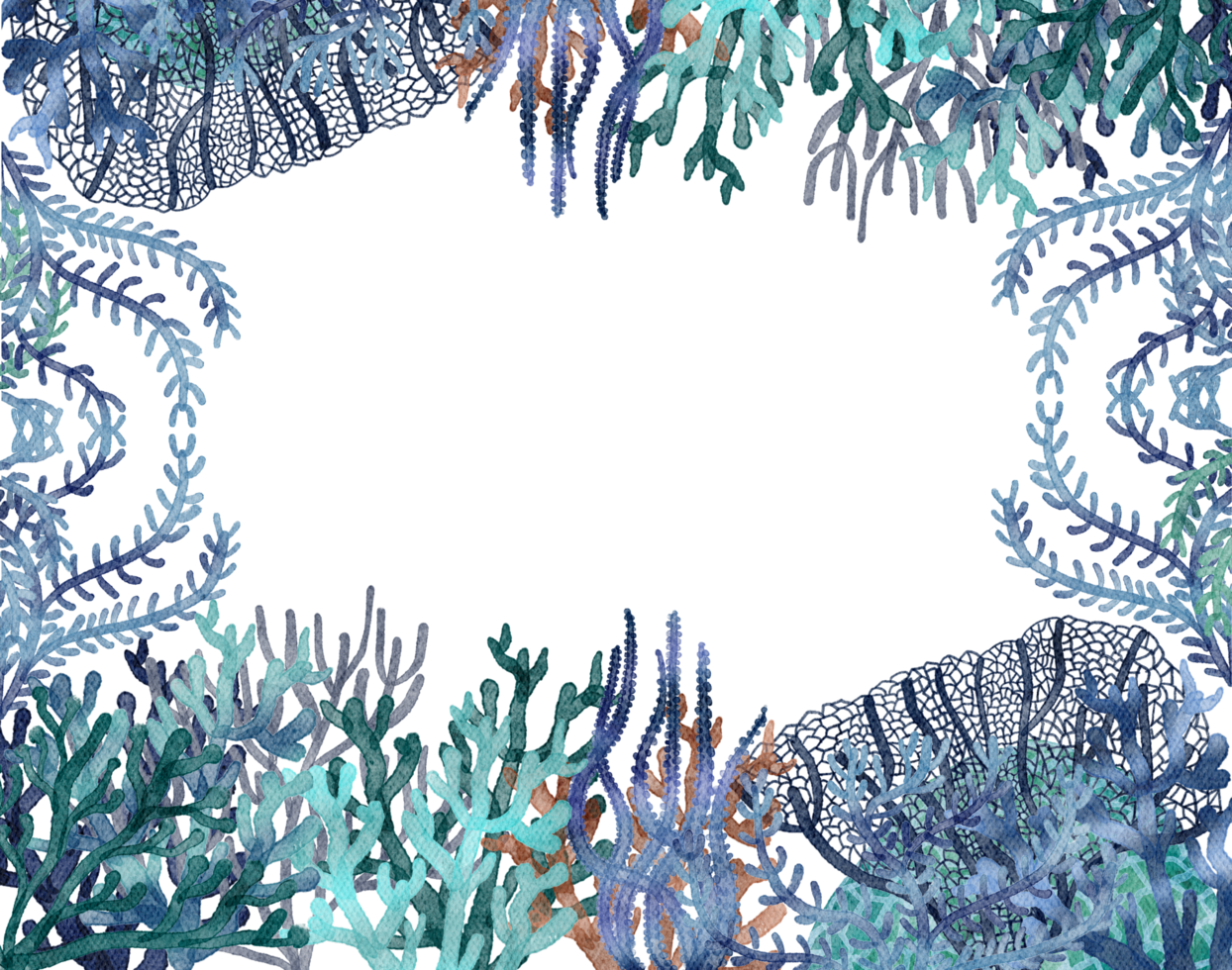 under ocean life element with watercolor painted , Coral reef png