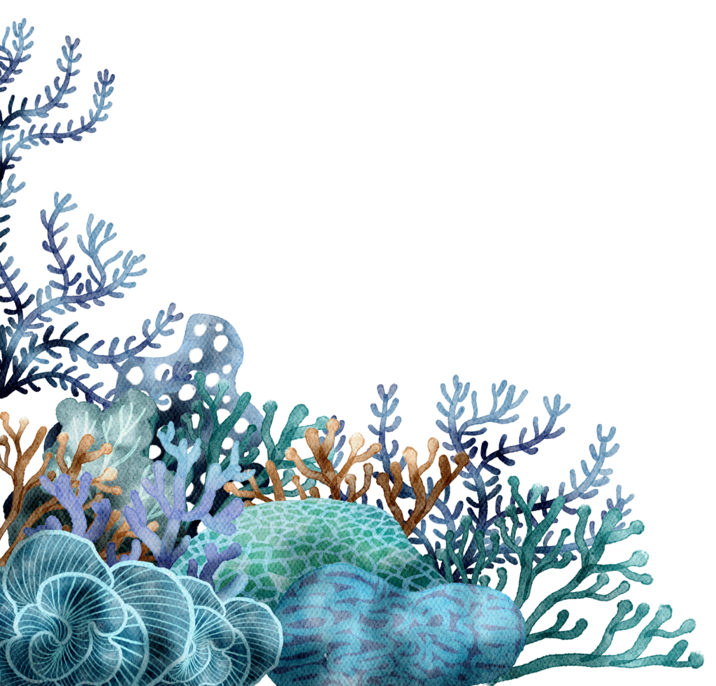 under ocean life element with watercolor painted , Coral reef png