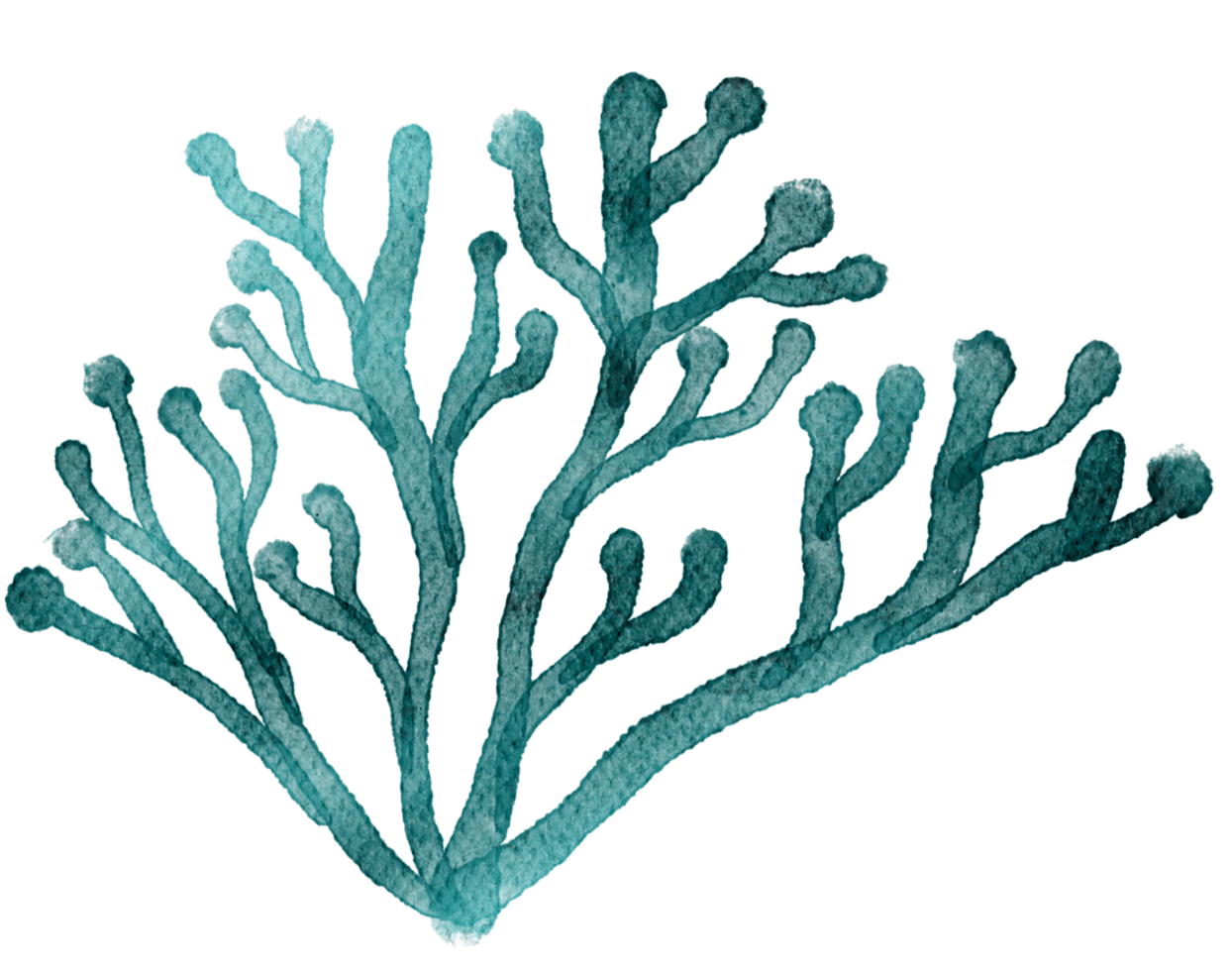 under ocean life element with watercolor painted , Coral reef png