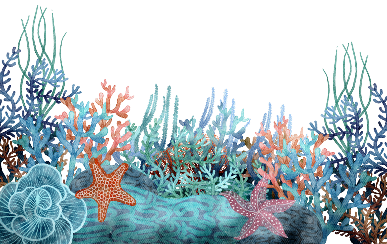 under ocean life element with watercolor painted , Coral reef png