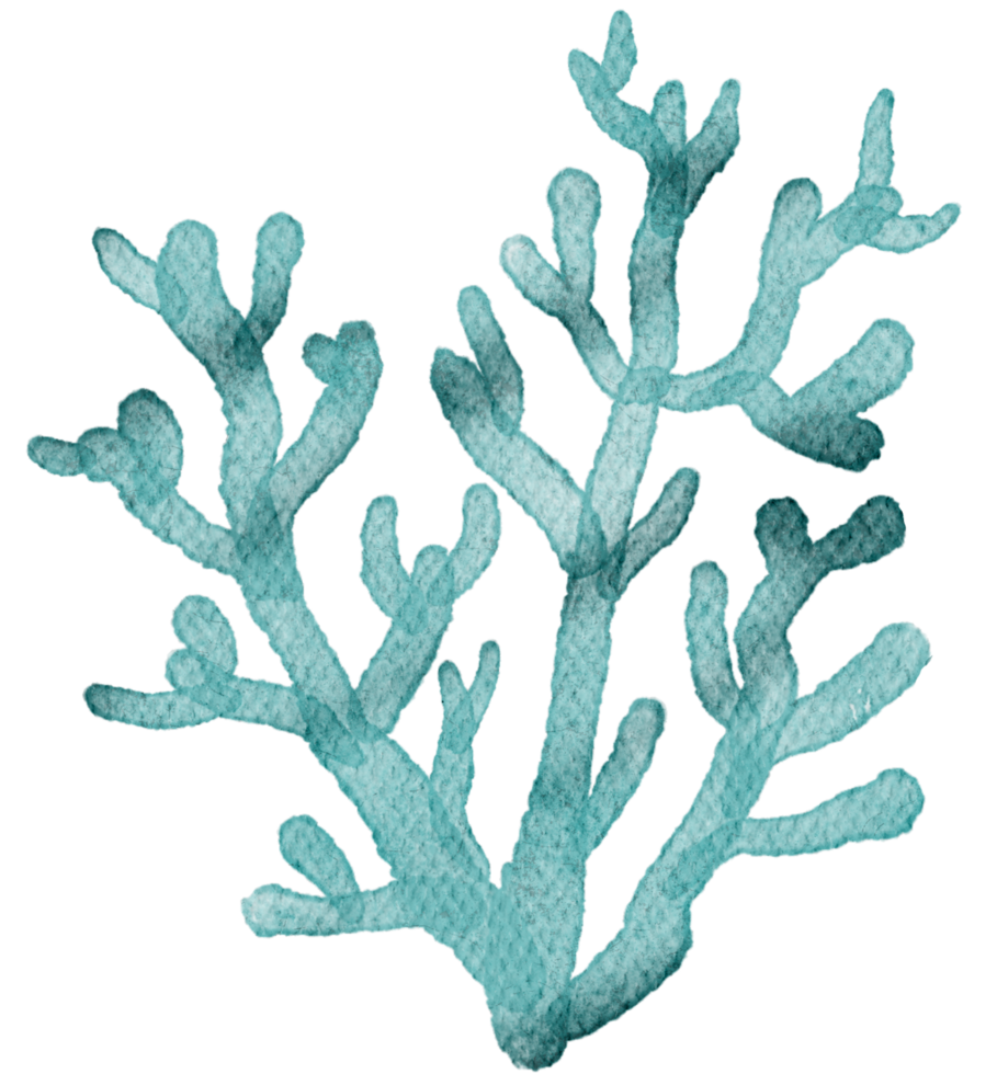 under ocean life element with watercolor painted , Coral reef png