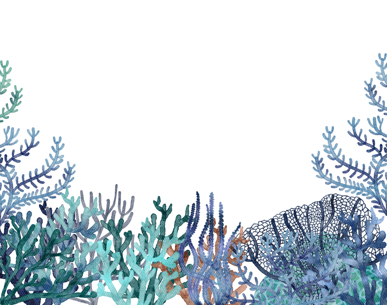 under ocean life element with watercolor painted , Coral reef png