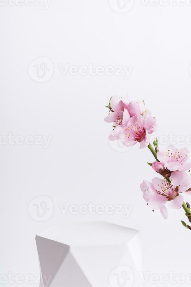 Podium or pedestal for cosmetics product decorated with cherry blossom twigs. Cosmetic template photo