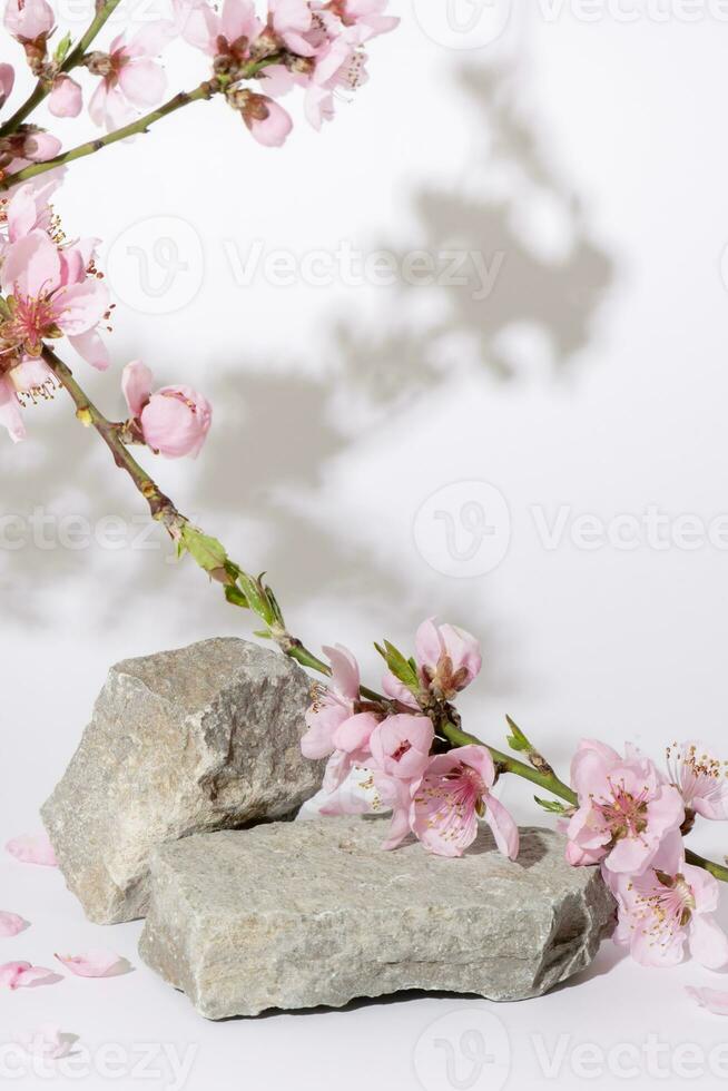 Podium or pedestal from nature stone decorated with cherry blossom twigs. Cosmetic mock up photo