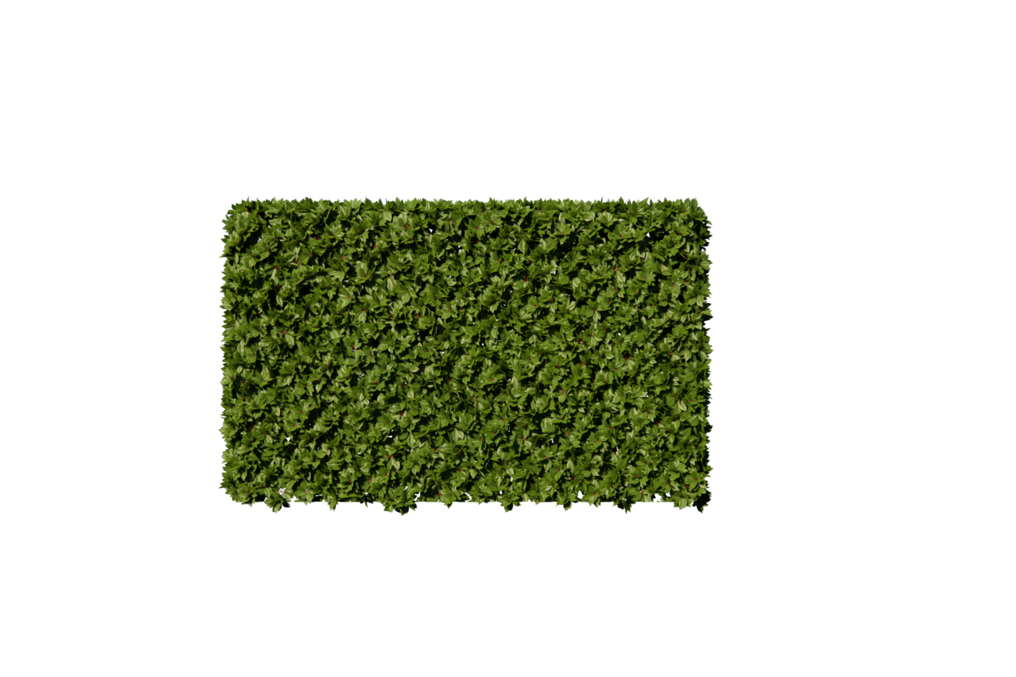 hedges with a unique shape clear png