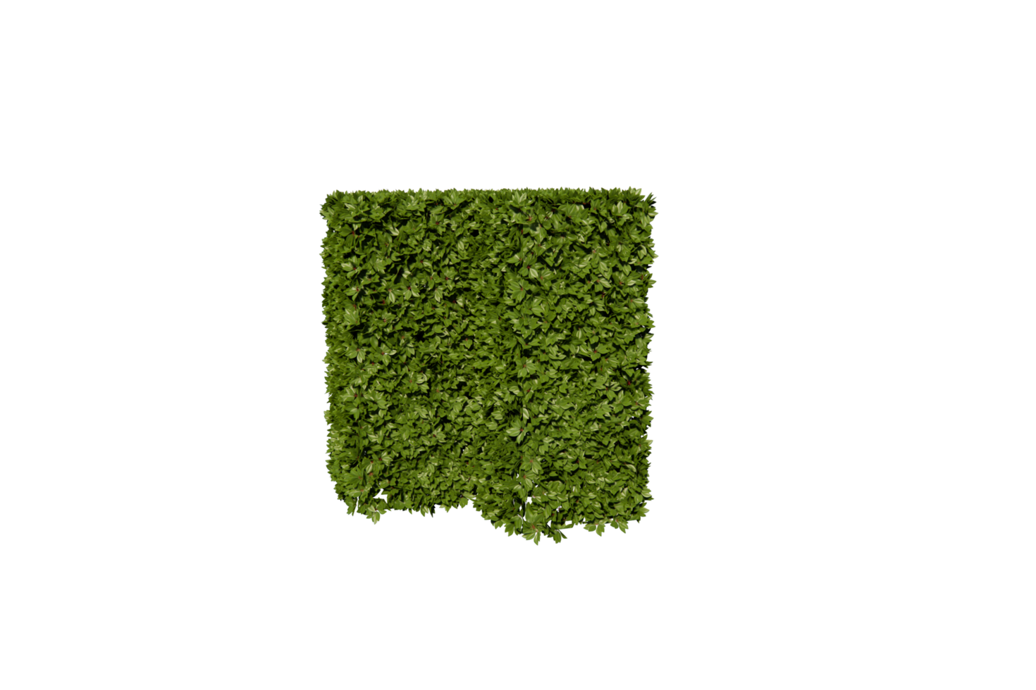 hedges with a unique shape clear png