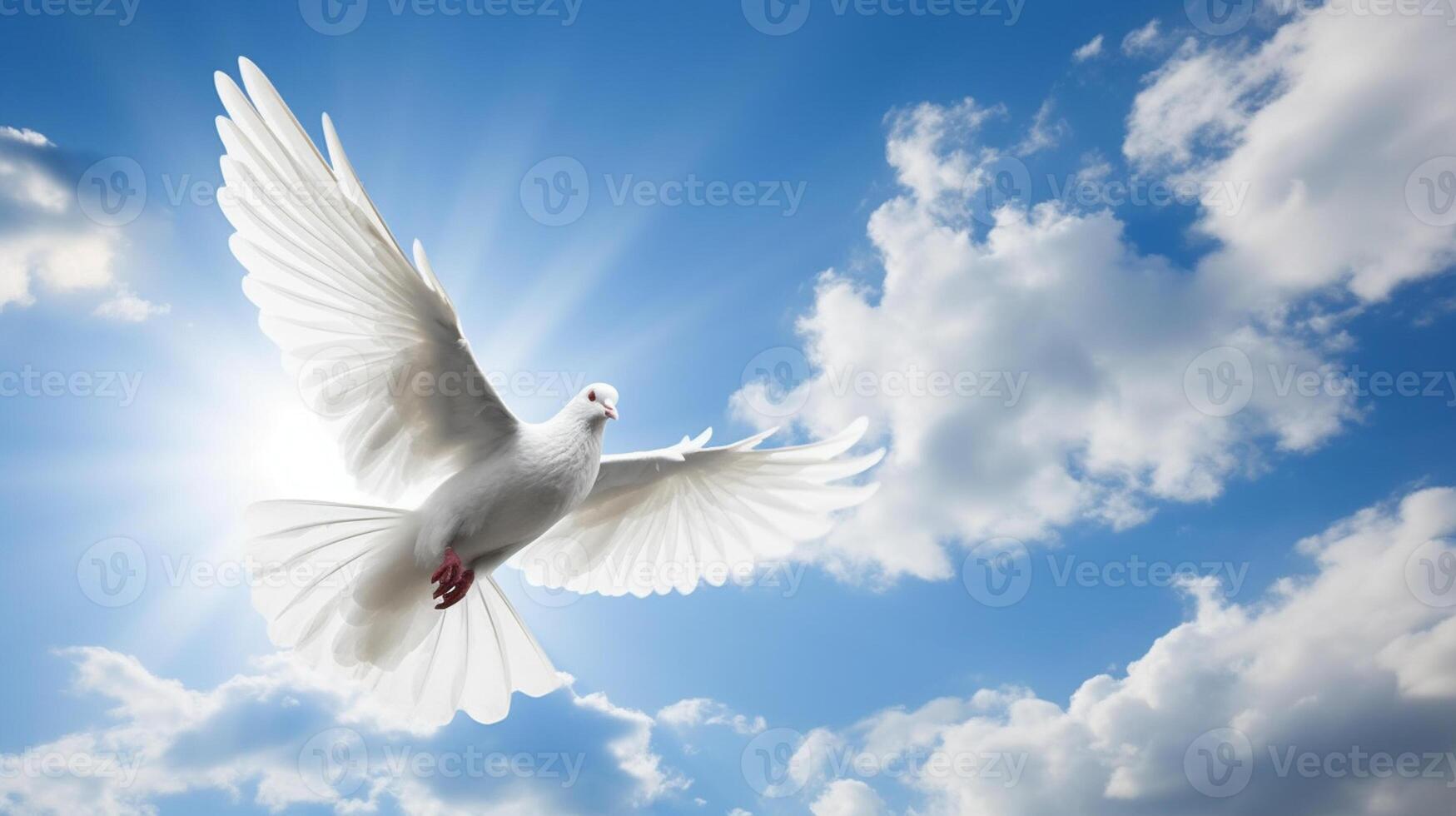 Flying white dove on a background of blue sky with white clouds. International Peace Day Concept