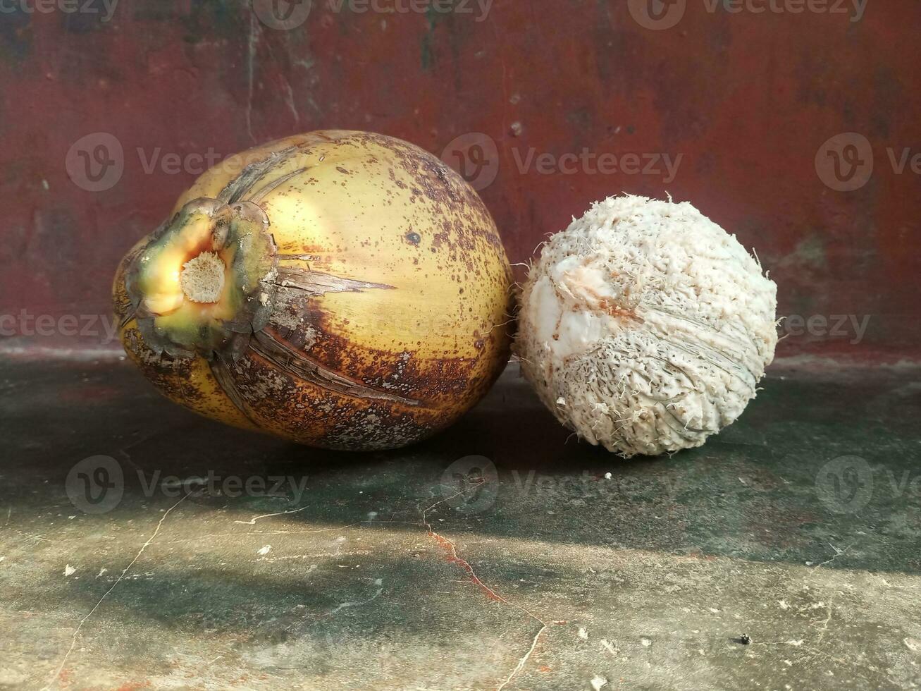 Tropical fruit open and intact coconut isolated photo