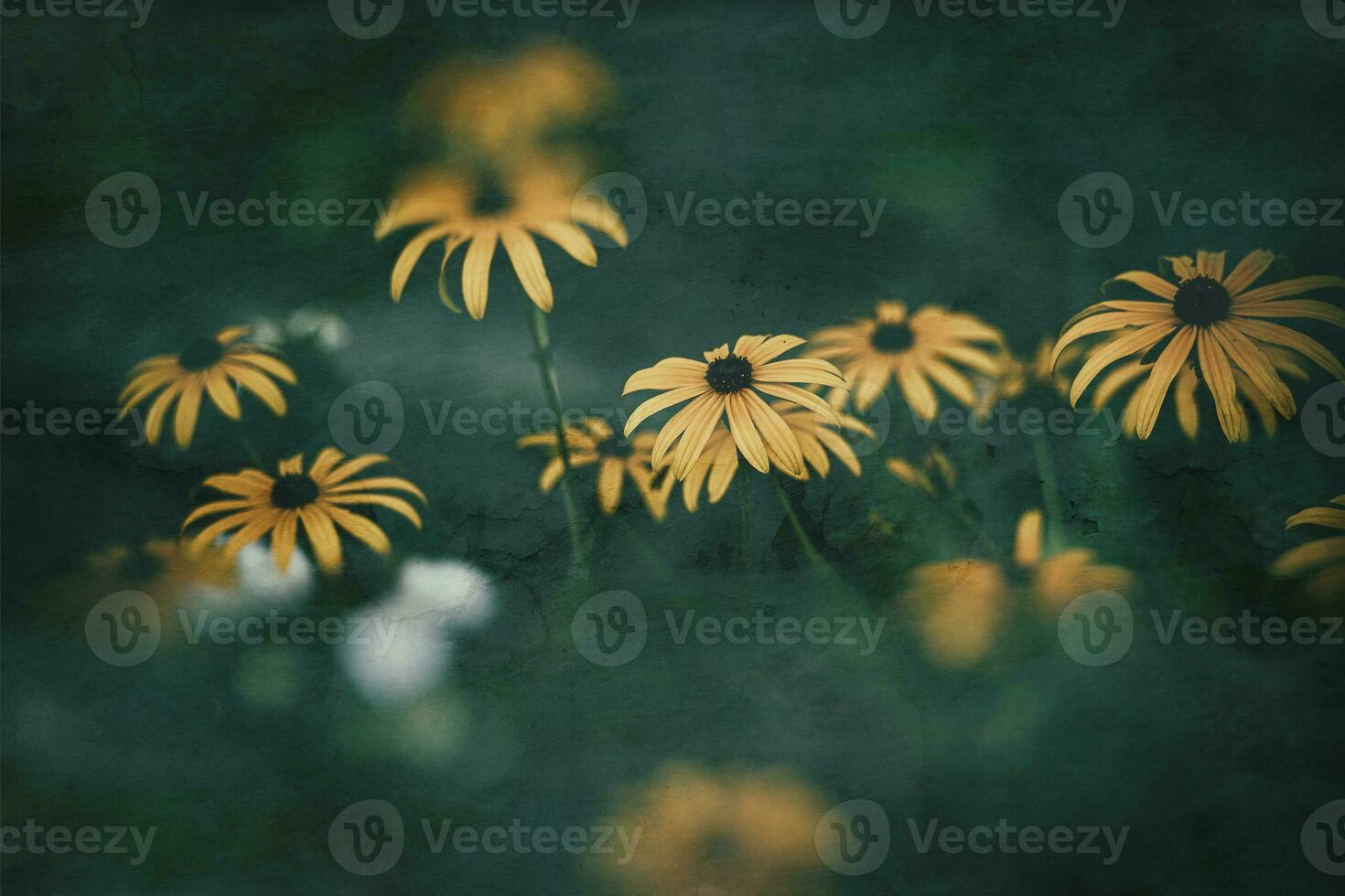 delicate interesting yellow flowers on a green background among the leaves in the garden photo