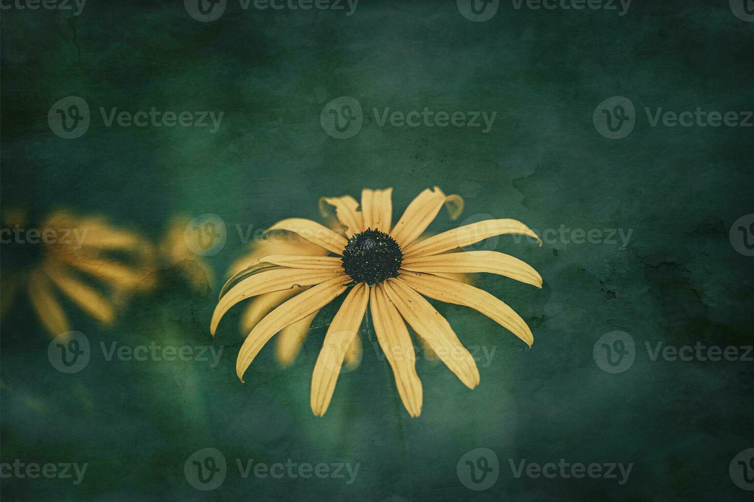 delicate interesting yellow flowers on a green background among the leaves in the garden photo