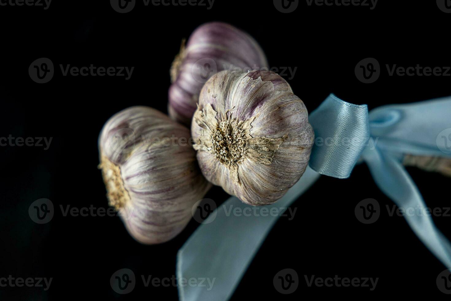 natural heads of garlic on a black background with the associated blue ribbon photo