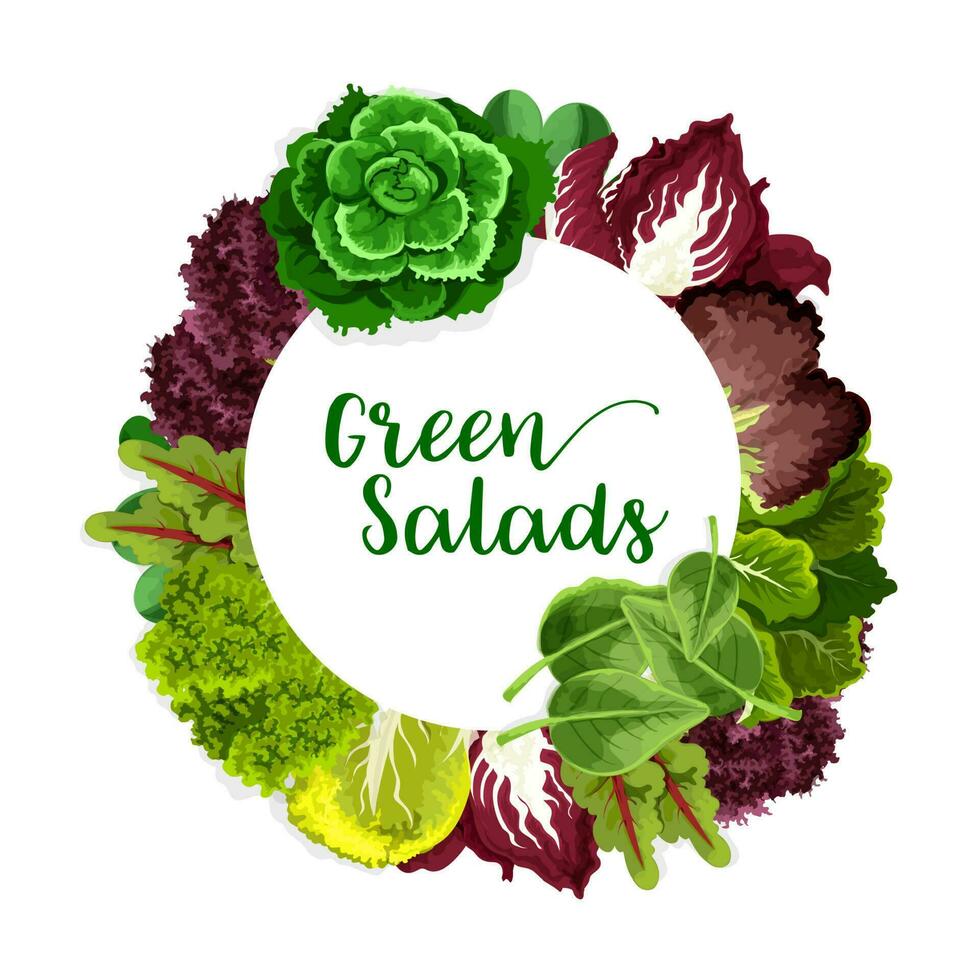 Farm grown green salads and organic lettuces vector